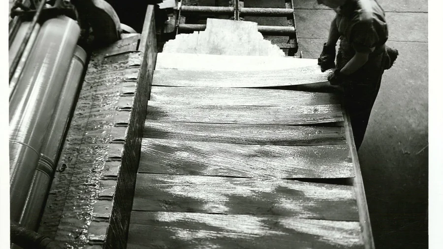plywood sheets reference photograph